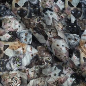 Charming Cat Print Scarf